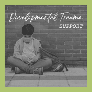 Developmental Trauma Support