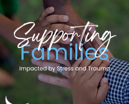 Supporting Families Impacted by Stress and Trauma