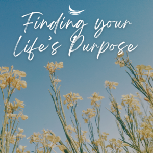 Finding your purpose