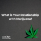 marijuana leaf marijuana relationship substance use