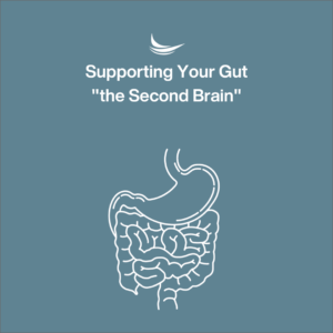 supporting your gut graphic