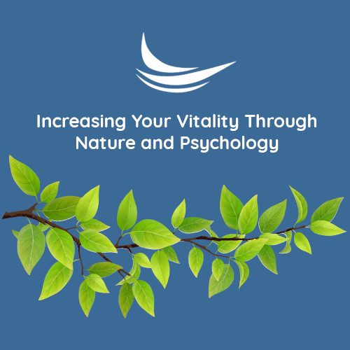 Increasing Your Vitality Through Nature and Psychology