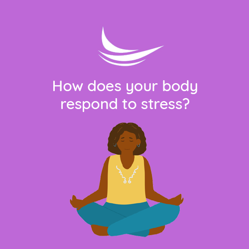 How does your body respond to stress?